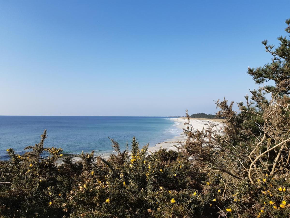 Agape, Elegant T2, 4 Etoiles, Plage Et Gr34 3Km, Centre Ville 750M Fouesnant Exterior photo